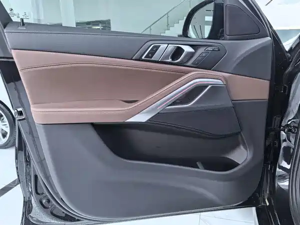BMW X6 2022