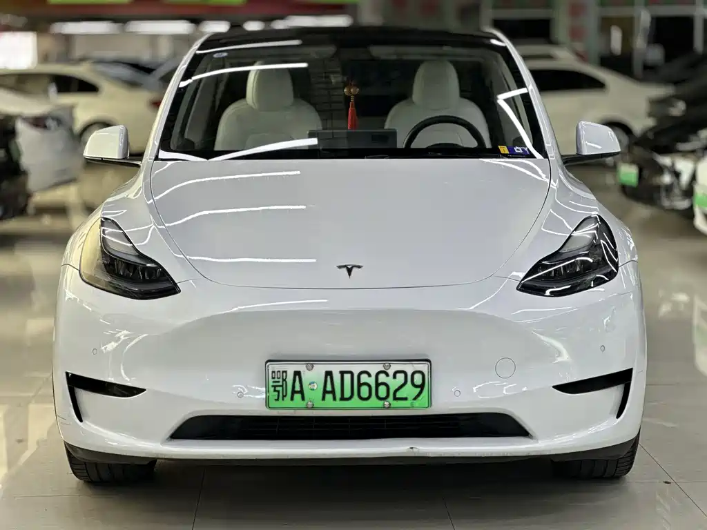 Tesla Model Y 2023 — фото 2