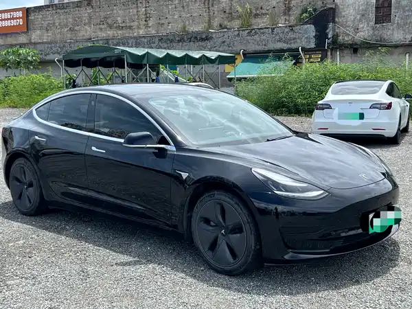 Tesla Model 3 2020