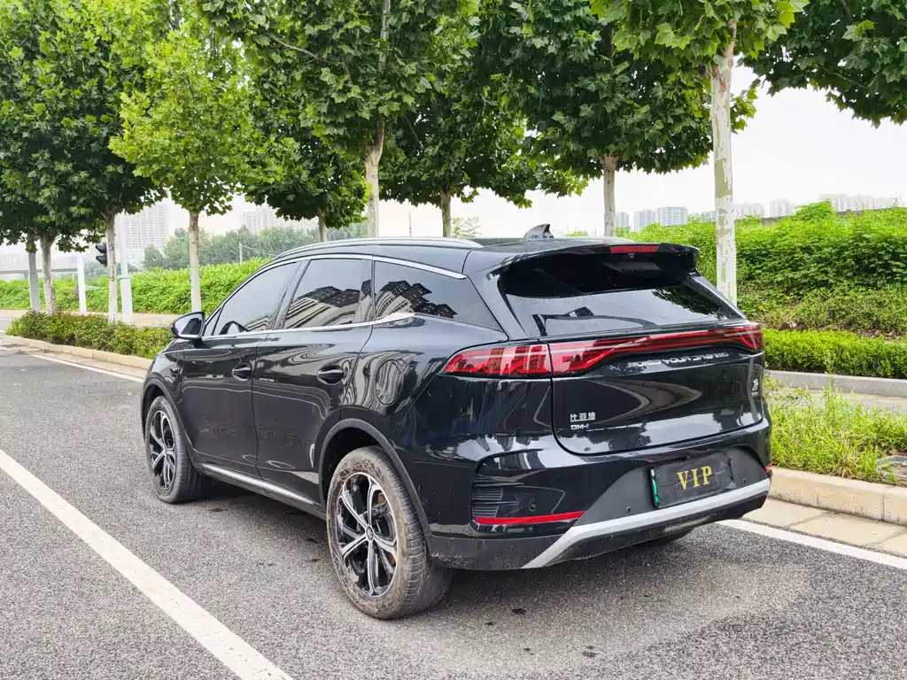 BYD Tang New Energy 2025 — фото 10