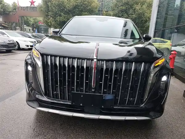 Hongqi HS7 2024