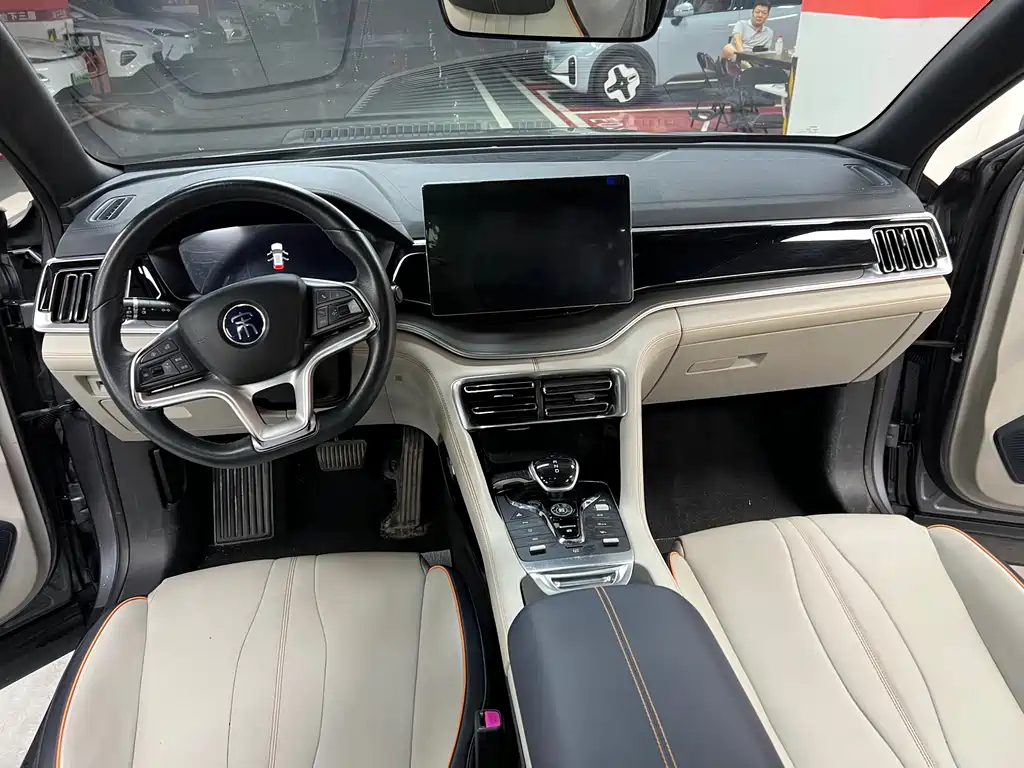 BYD Song PLUS New Energy 2022 — фото 9