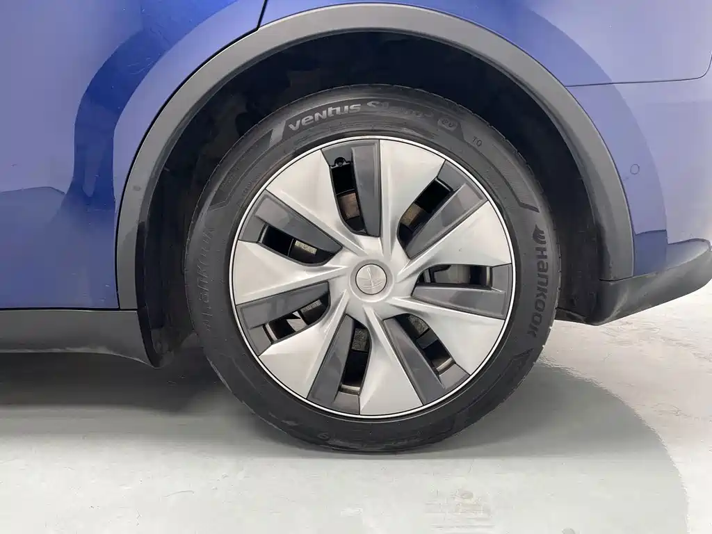 Tesla Model Y 2021 — фото 19