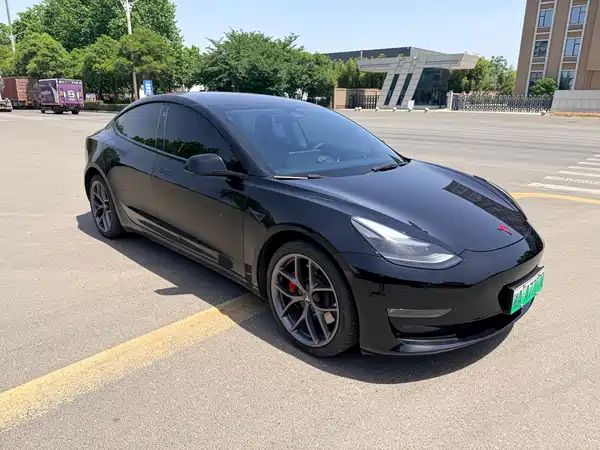 Tesla Model 3 2022
