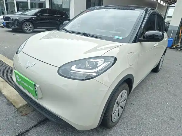 Wuling Bingo 2024