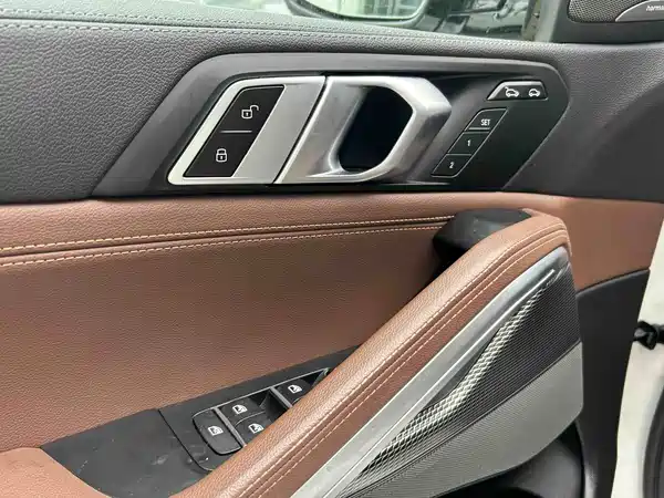 BMW X6 2022