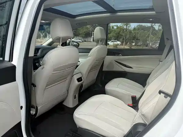 Buick GL6 2019