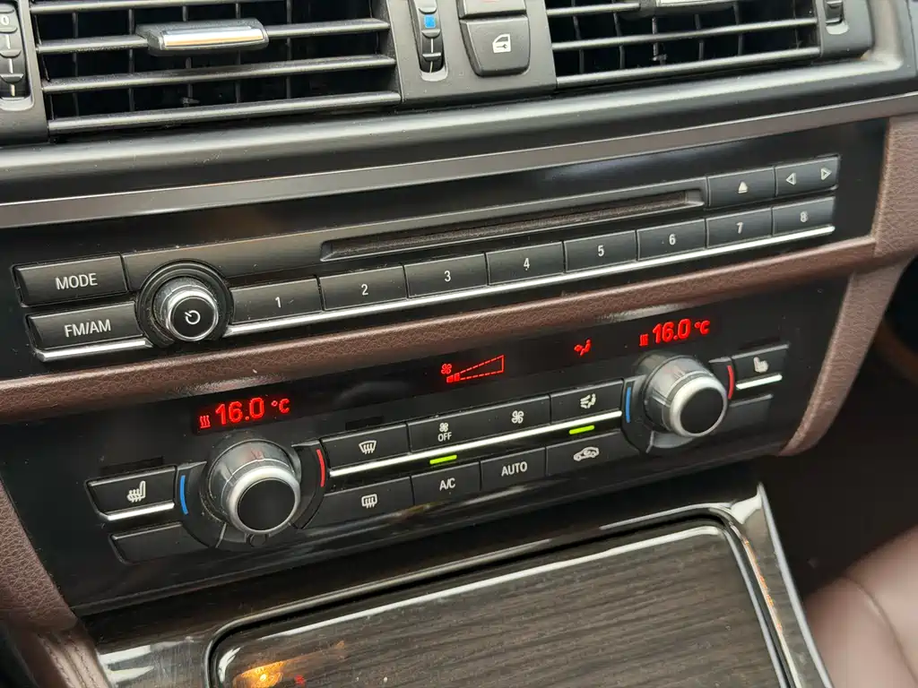 BMW 5 Series 2016 — фото 17