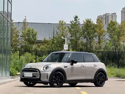 MINI MINI 2024