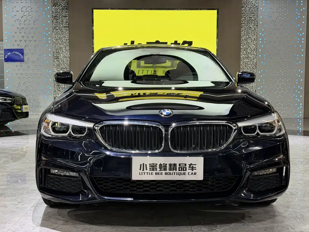 BMW 5 Series 2019 — фото 2