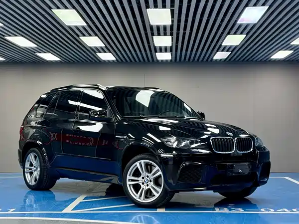 BMW X5 M 2010
