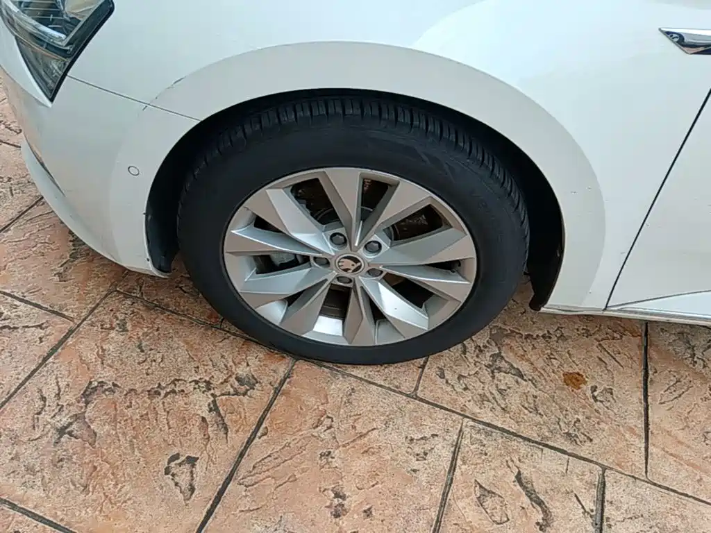 Skoda Speedy 2020 — фото 23