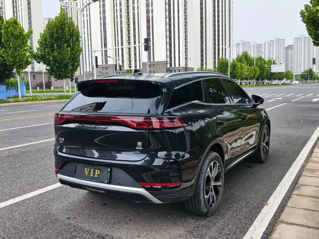 BYD Tang New Energy 2025 — фото 8