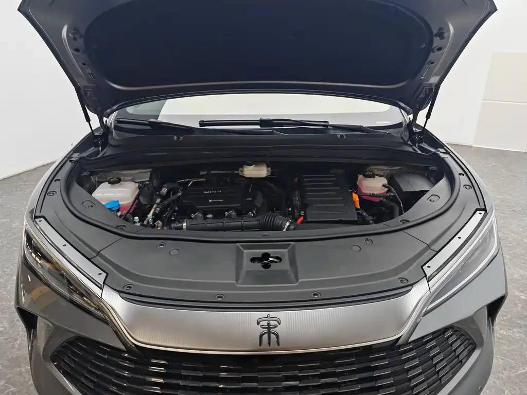 BYD L DM-i 2024 — фото 13