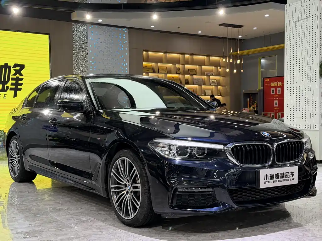 BMW 5 Series 2019 — фото 3