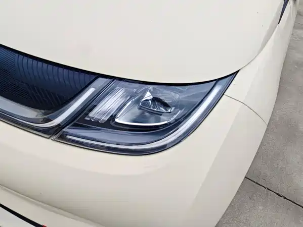 BYD Dolphin 2022