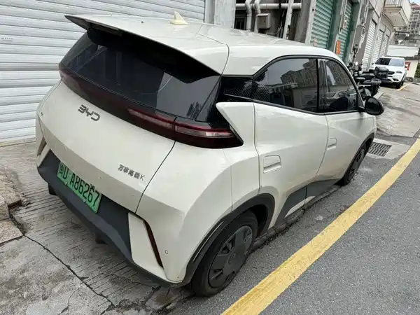BYD Seagull 2024