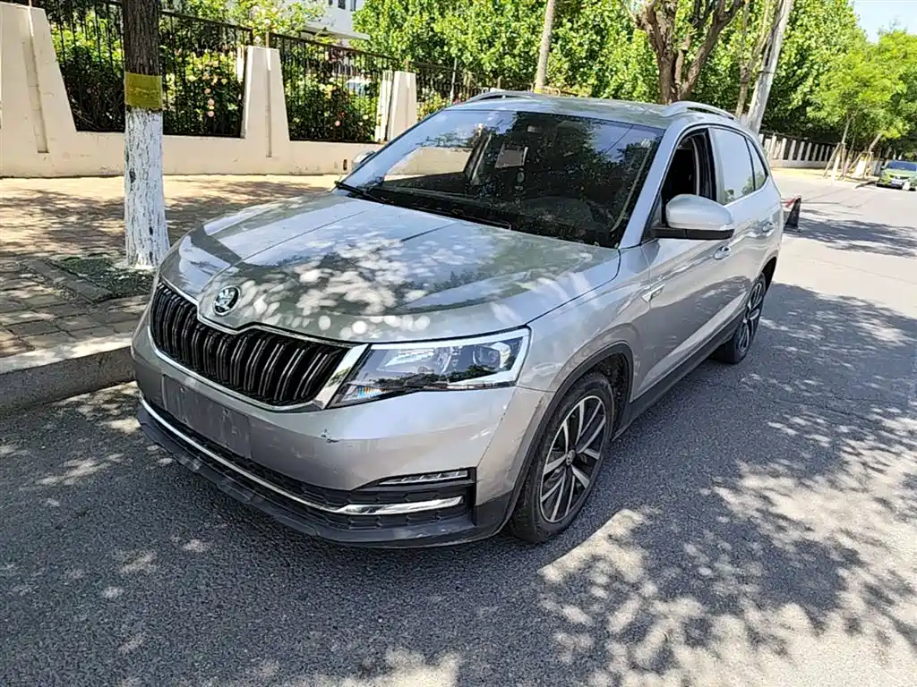 Skoda Kamiq 2020 — фото 2