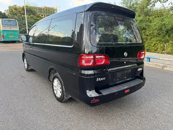 Dongfeng Lingzhi 2020