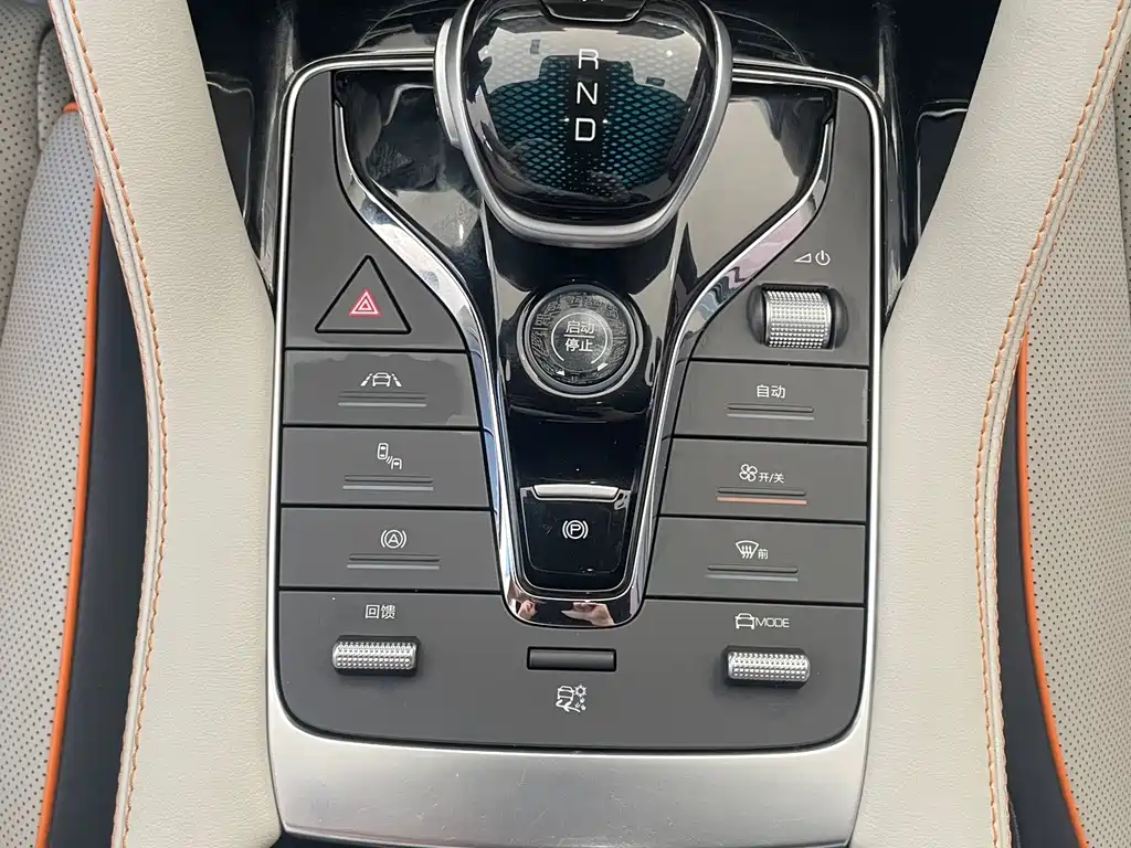 BYD Song PLUS New Energy 2022 — фото 8