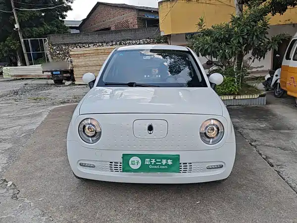 Ora Black Cat 2020