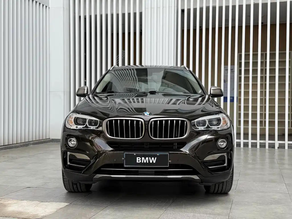 BMW X6 2019 — фото 2