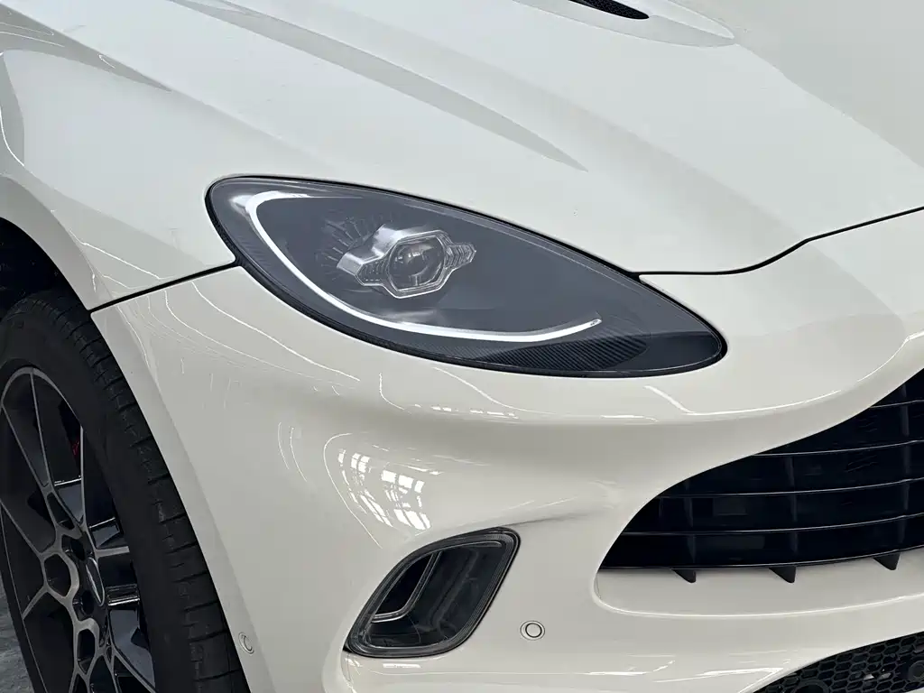 Aston Martin DBX 2022 — фото 14