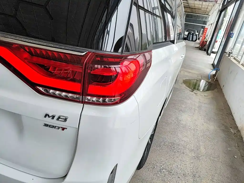 GAC Trumpchi M8 2023 — фото 8