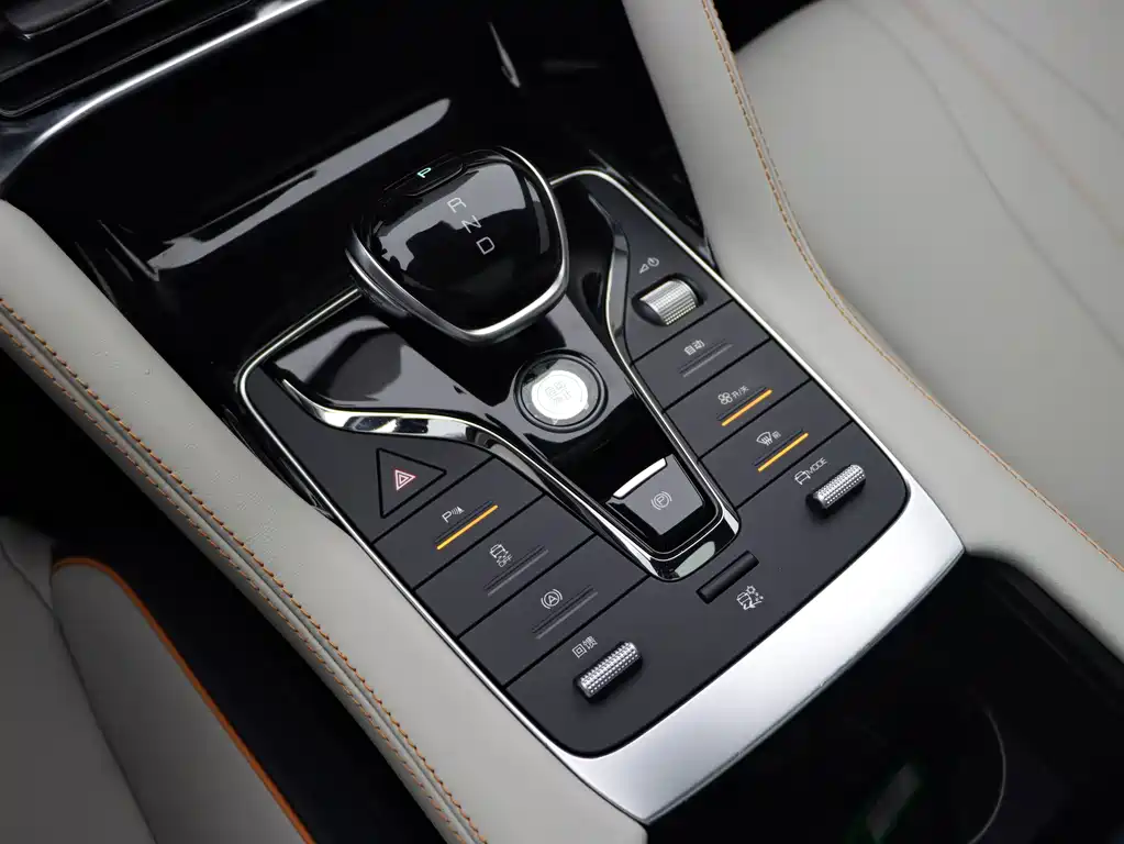 BYD Song PLUS New Energy 2022 — фото 17