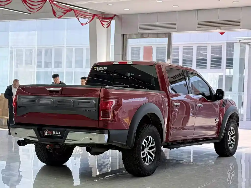 Ford F-150 Raptor 2016 — фото 8