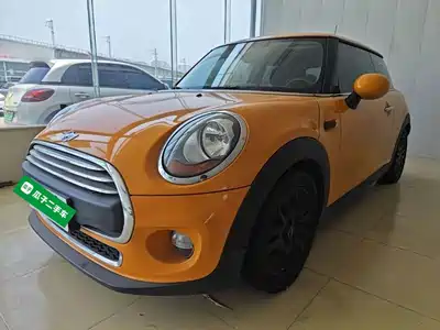 MINI MINI 2017