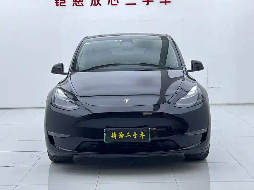 Tesla Model Y 2021 — фото 2