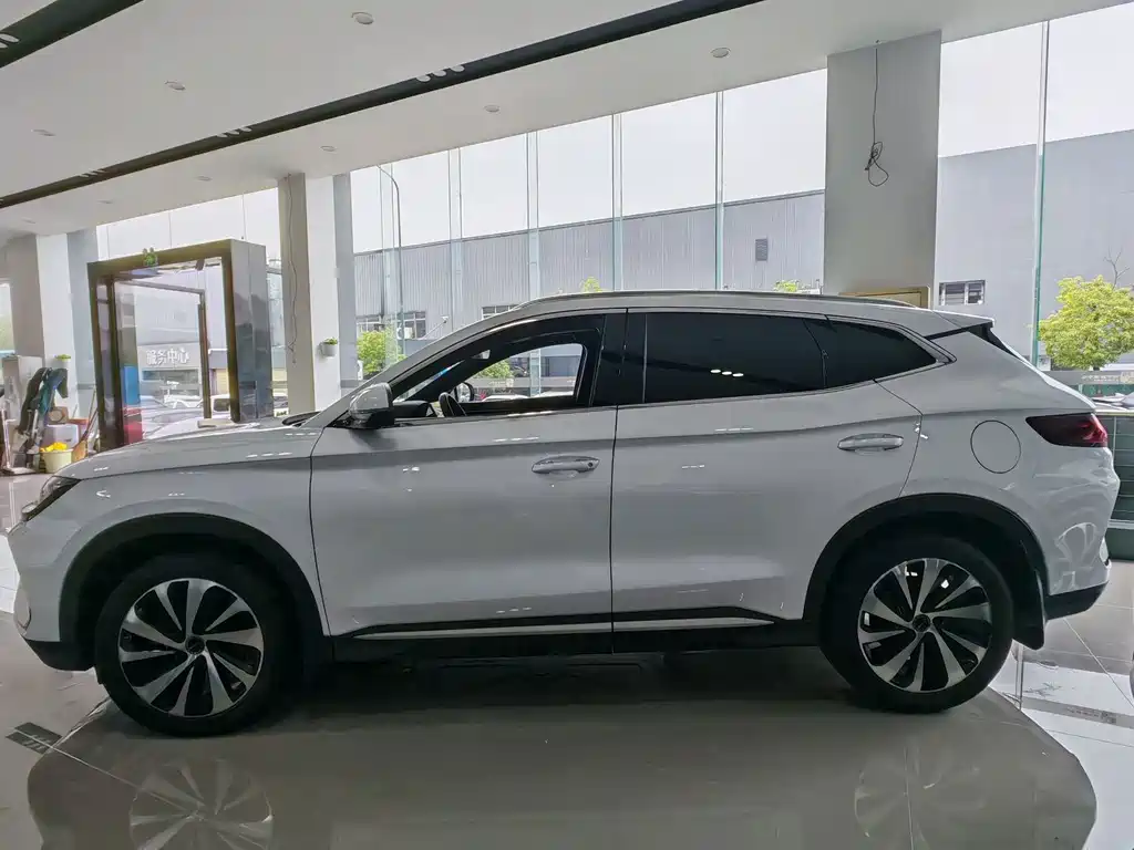 BYD Song PLUS New Energy 2024 — фото 9