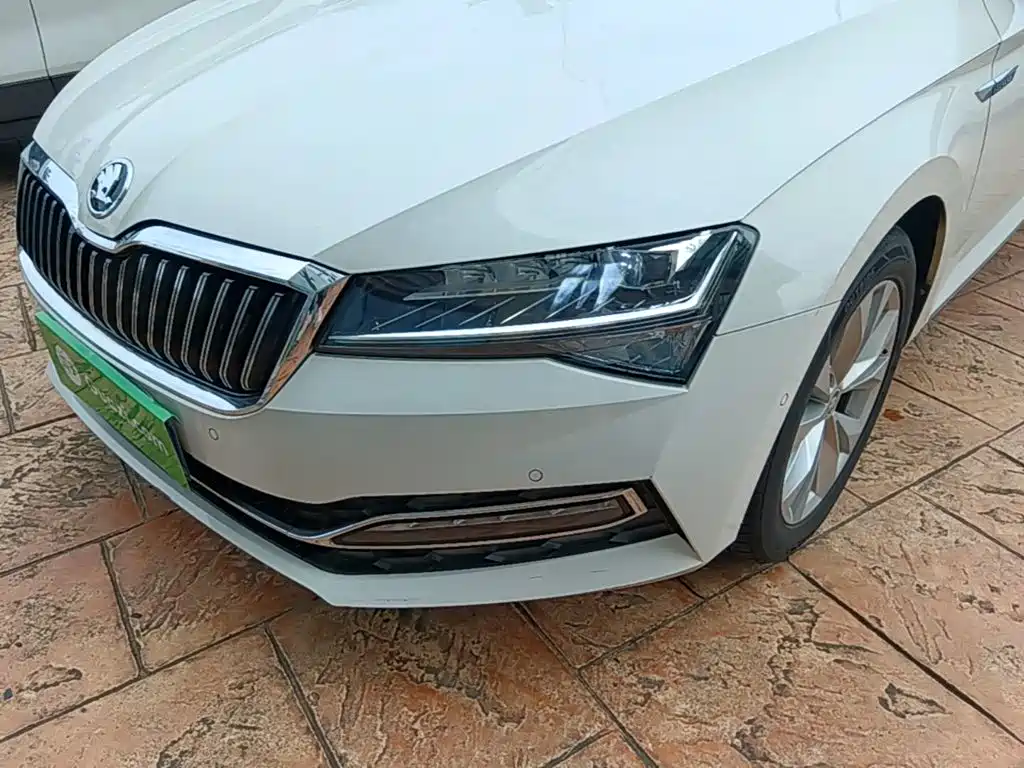 Skoda Speedy 2020 — фото 24