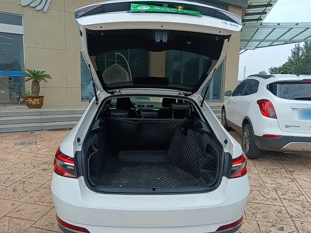 Skoda Speedy 2020 — фото 19