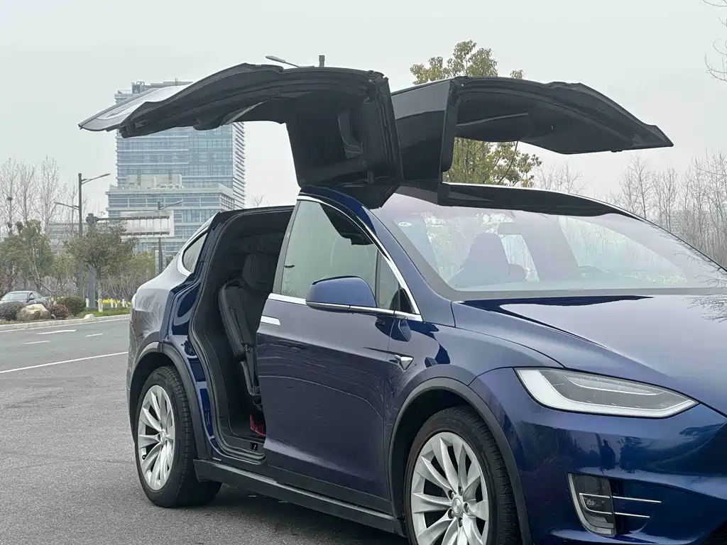 Tesla Model X 2019 — фото 5