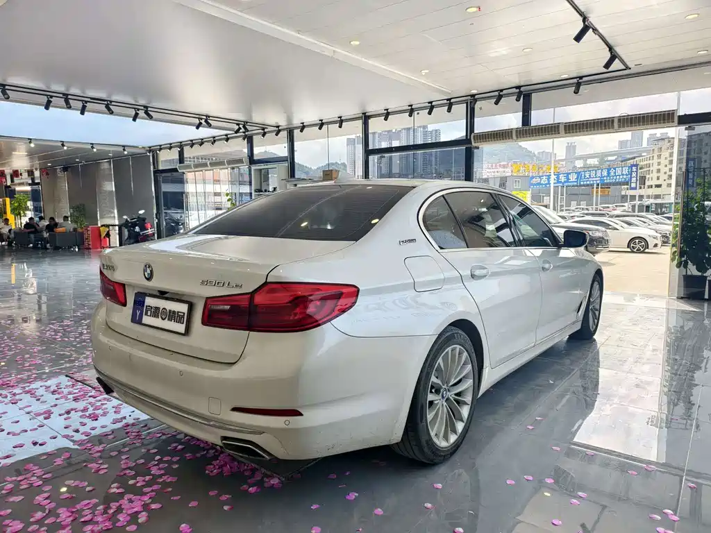 BMW 5 Series New Energy 2019 — фото 21