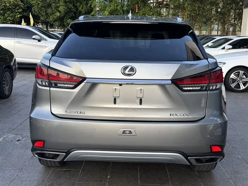 Lexus RX 2020 — фото 6