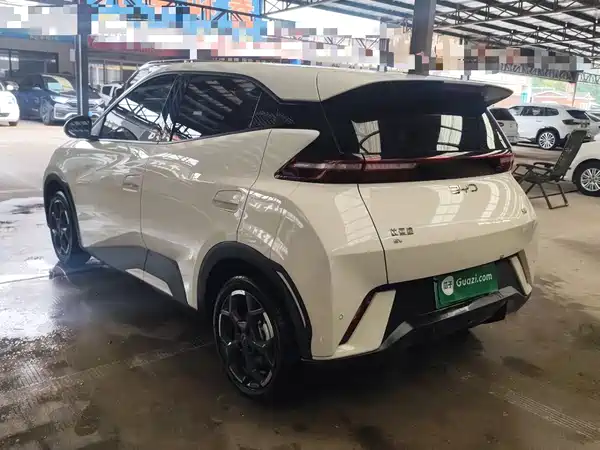 BYD Seagull 2025