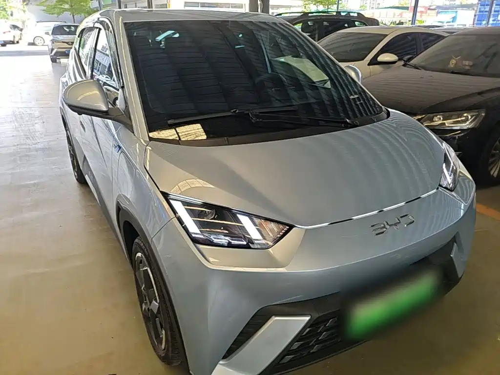 BYD Seagull 2024