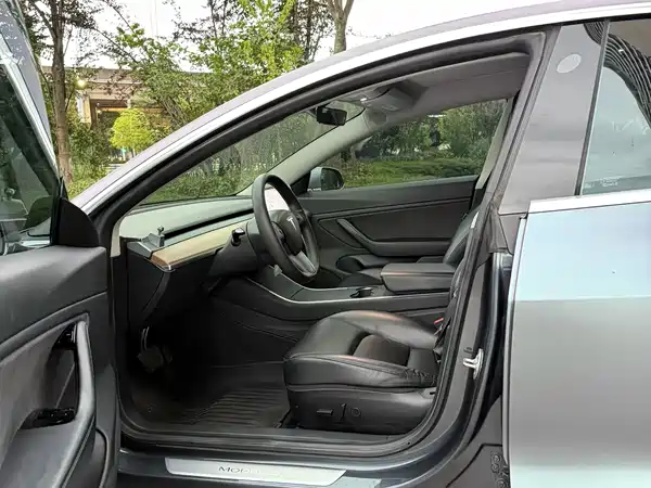Tesla Model 3 2019