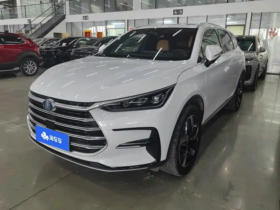 BYD Tang New Energy 2024 — фото 1