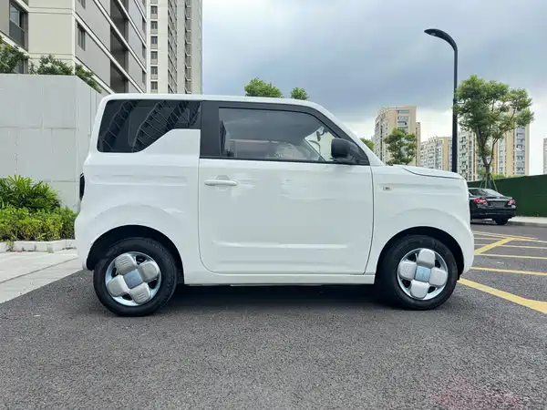 Geely Galaxy Panda 2024
