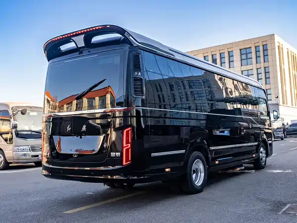 Hongqi Golden Sunflower 2024