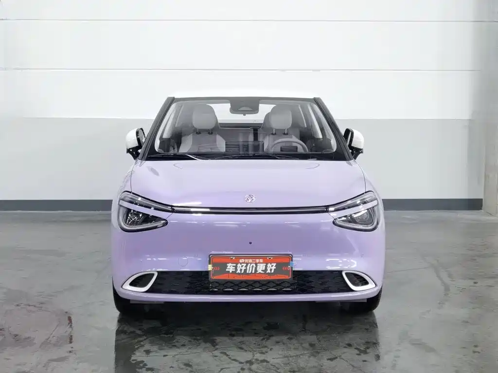 Dongfeng Nano 01 2025