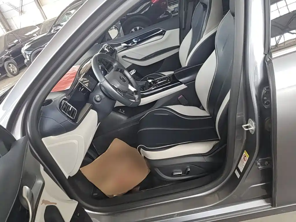 BYD Qin PLUS 2022 — фото 15