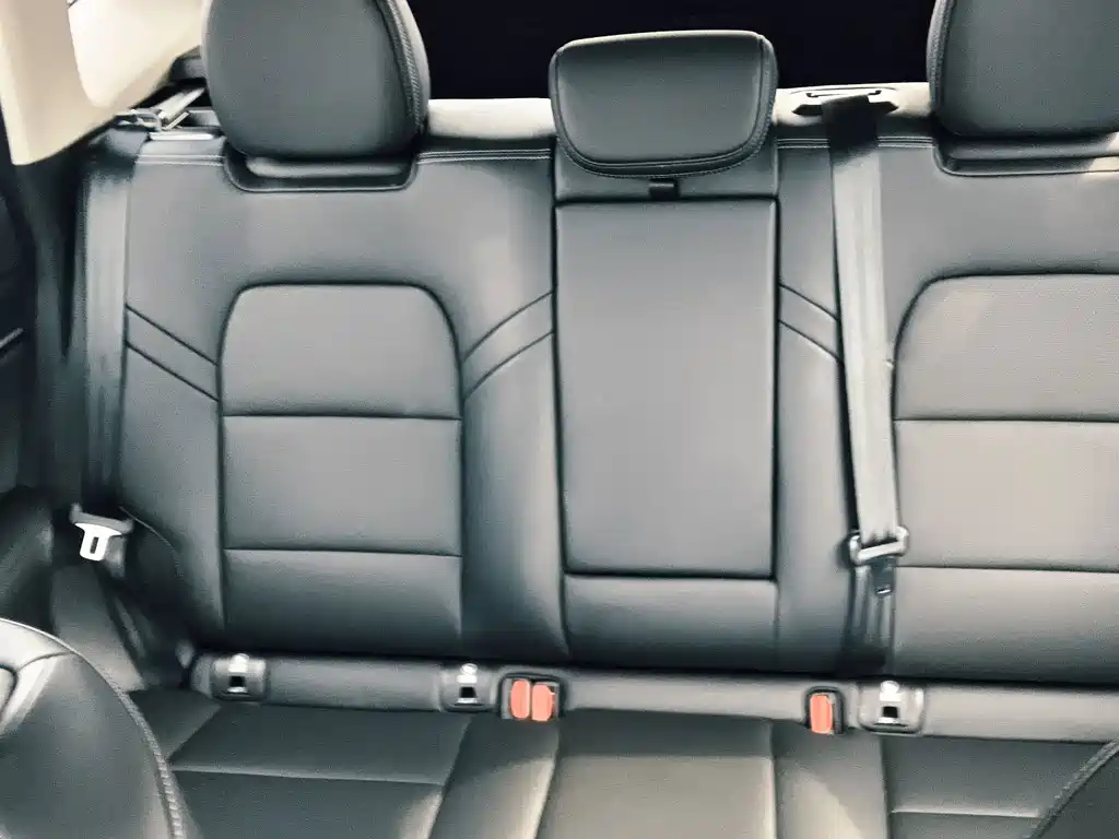 Haval Dog PLUS 2023 — фото 10