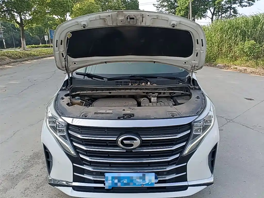 GAC Motor Trumpchi M8 2021 — фото 16