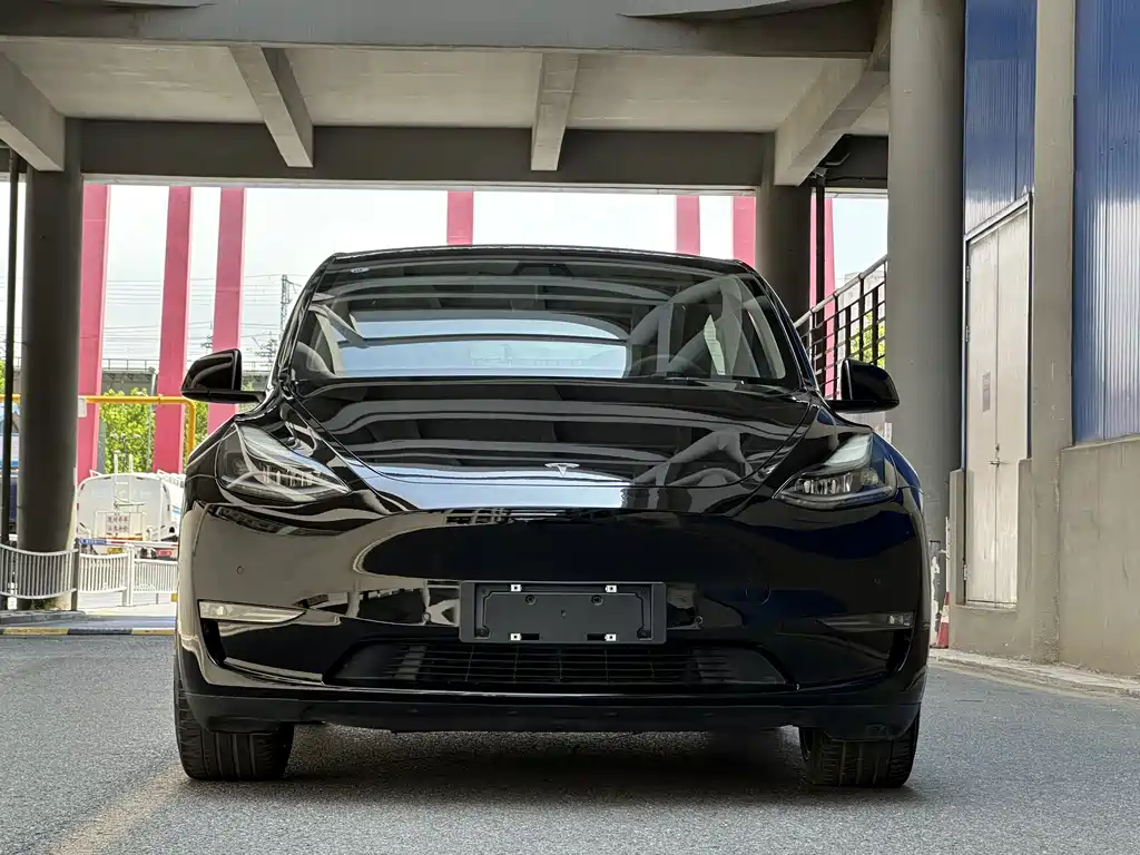 Tesla Model Y 2021 — фото 1