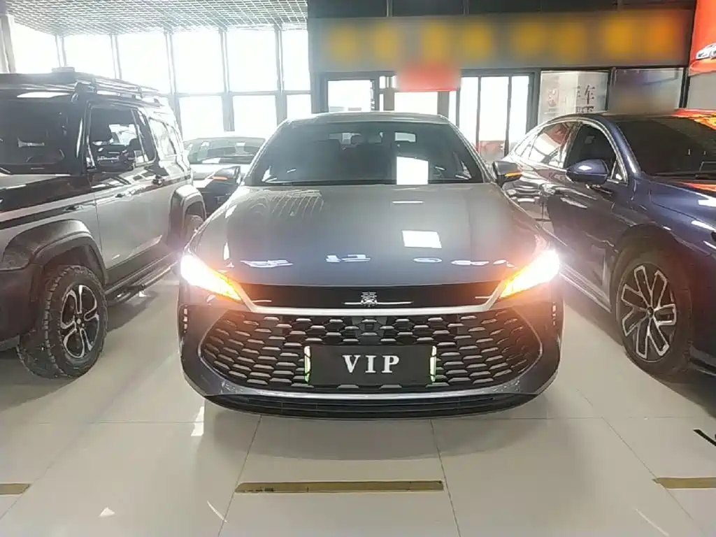 BYD Qin PLUS 2025 — фото 3